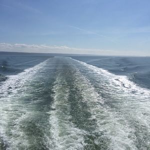 Meet your Posher, Catherine